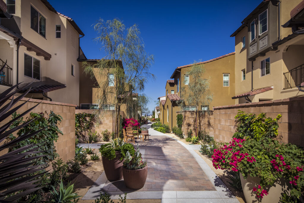 A paved courtyard path lined with flowering planters between homes